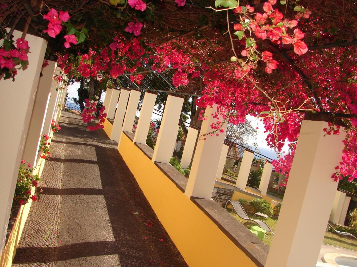 Private Pool Apt. With Great View Funchal  Luaran gambar