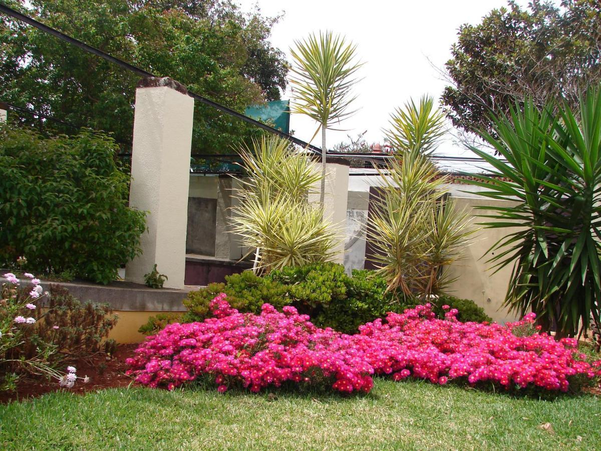 Private Pool Apt. With Great View Funchal  Luaran gambar