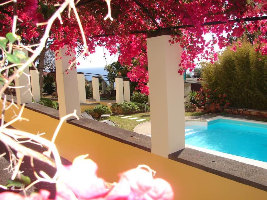 Private Pool Apt. With Great View Funchal  Luaran gambar