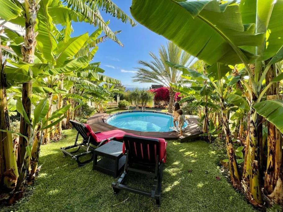 Private Pool Apt. With Great View Funchal  Luaran gambar